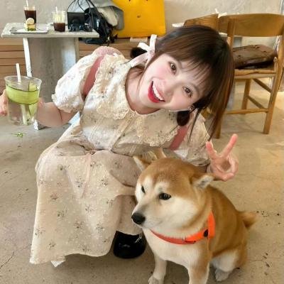 娃娃从军记